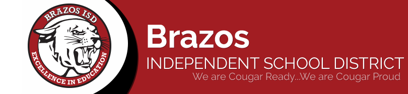 Brazos ISD logo